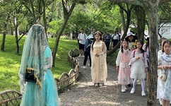 山东综艺台直播